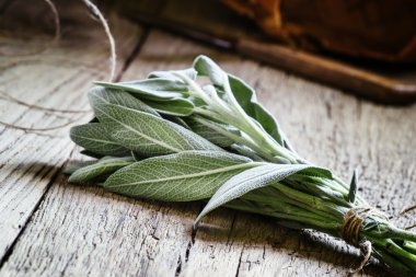 Demet taze adaçayı