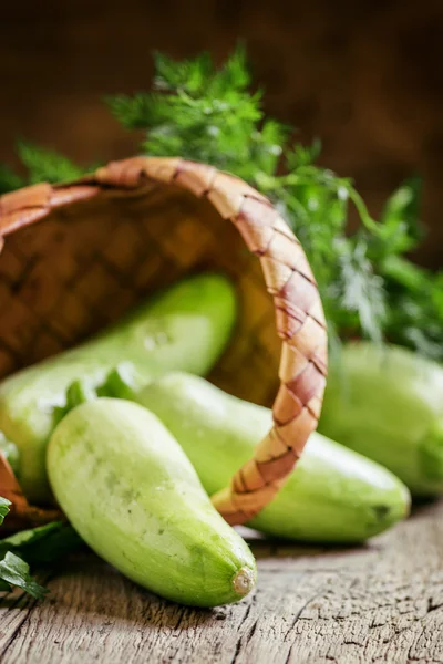 Fresh small zucchini