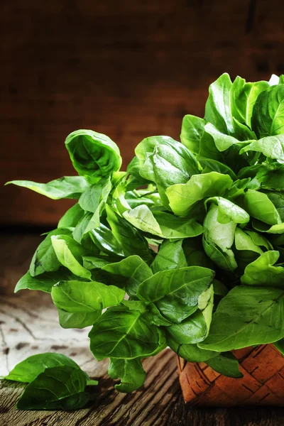 Fresh green basil in a wicker basket — Stock Photo, Image