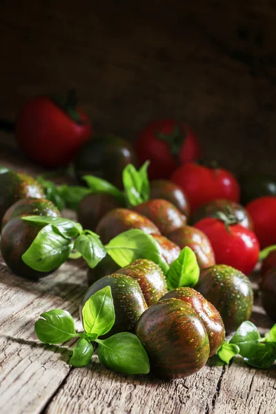 Black tomatoes and green basil