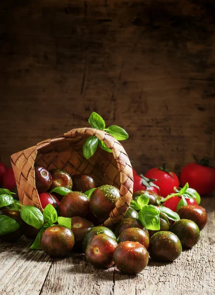 Gestreepte bruine tomaten — Stockfoto