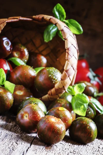 Striped brown tomatoes — Stock Photo, Image