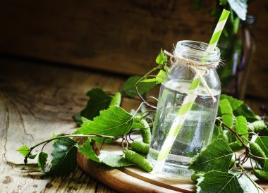 Huş ağacı sap, ahşap arka plan