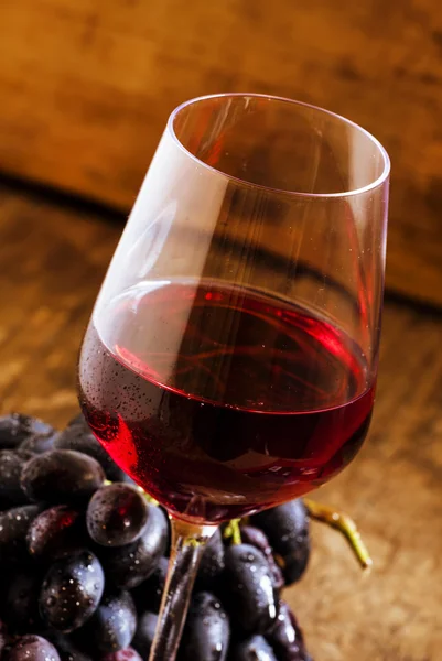 Vin rouge et raisins noirs — Photo