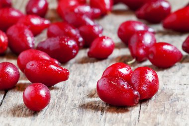 Eski ahşap zemin üzerine Kenan çilek