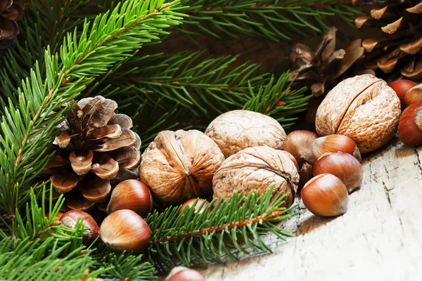 Julebaggrund med valnødder, hasselnødder og grangrene og kogler - Stock-foto