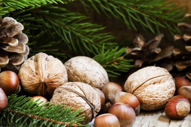 Ceviz, fındık ve çam dalları ve koniler ile Noel arka plan 