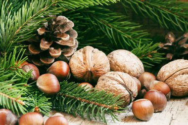 Ceviz, fındık ve çam dalları ve koniler ile Noel arka plan 