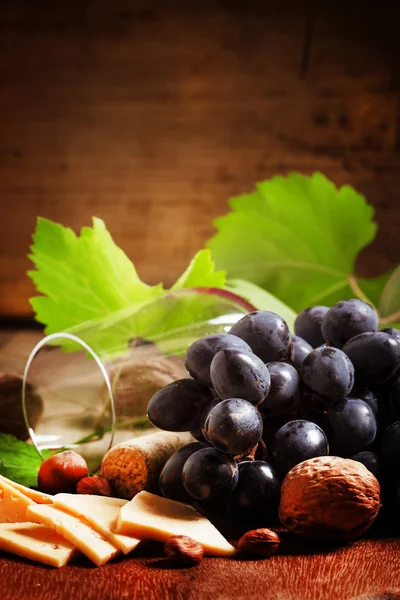 Queijo, uvas azuis, videira, nozes e um copo — Fotografia de Stock