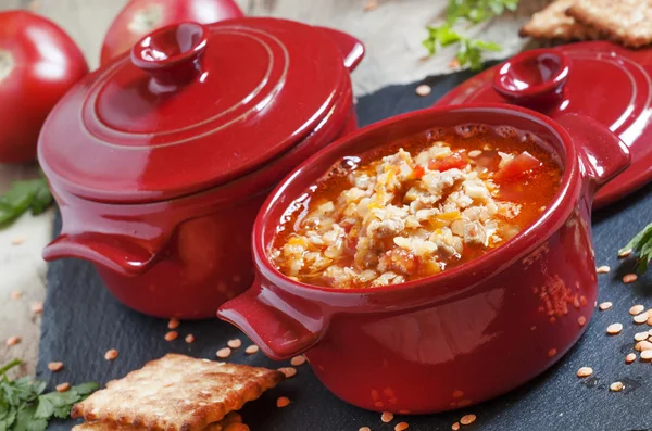 Soupe de tomates aux lentilles rouges et viande hachée — Photo