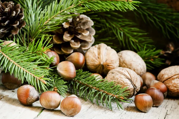 Fundo de Natal com nozes, avelãs e ramos de abeto e cones — Fotografia de Stock