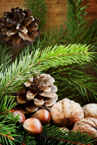 Karácsonyi háttér a dió, a mogyoró és a fenyő ágak és kúpok — Stock Fotó