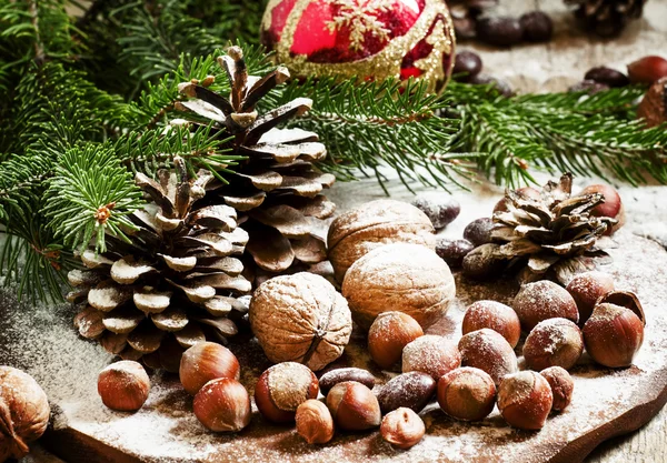 Kerstmis achtergrond met walnoten, hazelnoten en takken van de Spar en kegels — Stockfoto