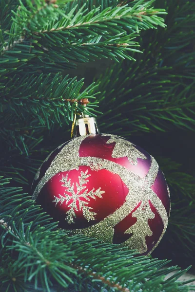 Bola de Natal e ramos de abeto verde — Fotografia de Stock