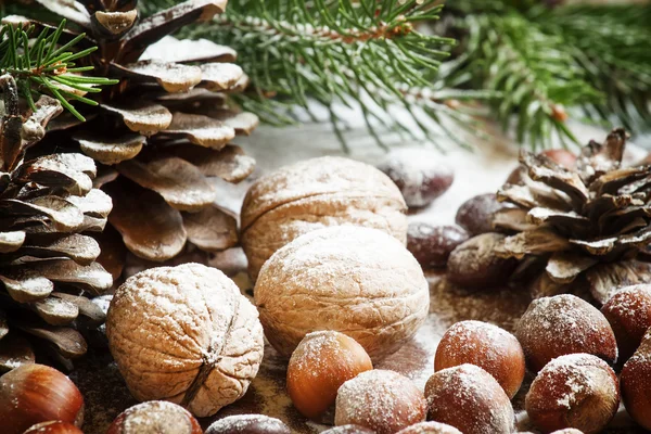 Fondo natalizio con noci, nocciole e rami e coni di abete — Foto Stock