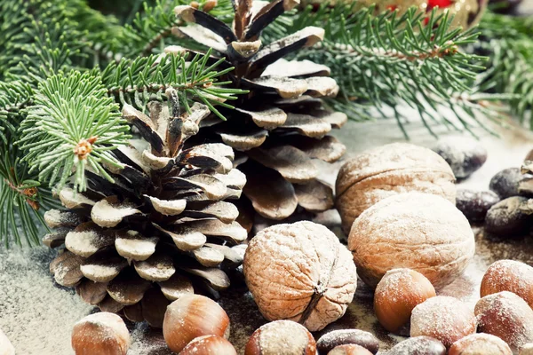 Fond de Noël avec noix, noisettes et branches et cônes de sapin — Photo