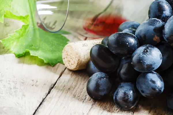 Raisins à la vigne et verre à vin — Photo