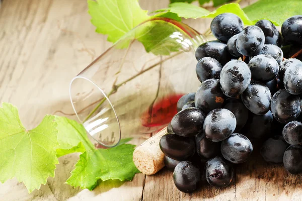 Uvas con copa de vino y vid — Foto de Stock