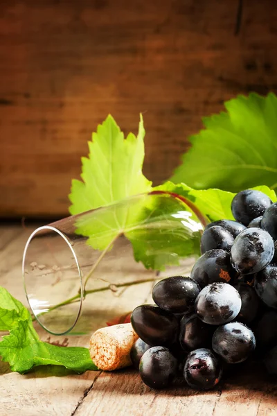 Uvas com videira e copo de vinho — Fotografia de Stock