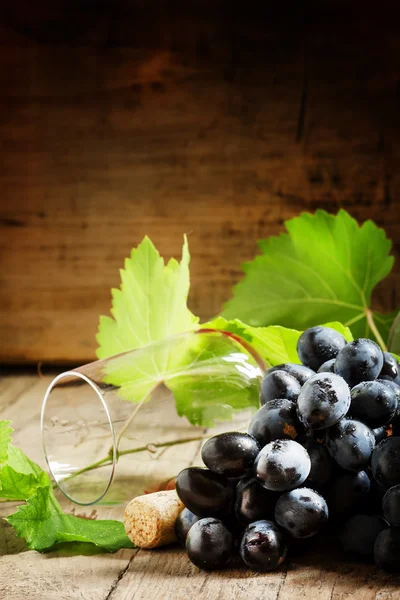 Uvas com videira e copo de vinho — Fotografia de Stock