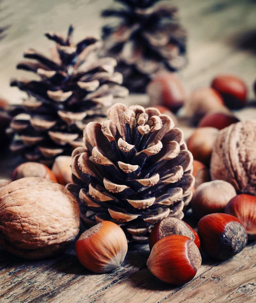 Fondo natalizio con noci, nocciole e coni di abete — Foto Stock