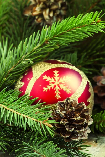 Bola de Navidad, ramas de abeto y piñas — Foto de Stock