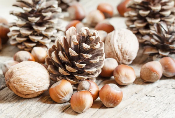 Vánoční pozadí s vlašské ořechy, lískové ořechy a jedle Kavkazská — Stock fotografie