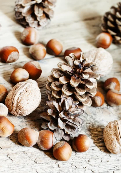 Fondo natalizio con noci, nocciole e coni di abete — Foto Stock