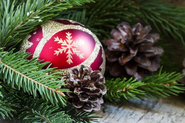 Christmas ball, spruce grenar och kottar — Stockfoto