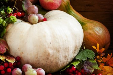 Mevsim meyveleri ve kabak sonbahar konsepti