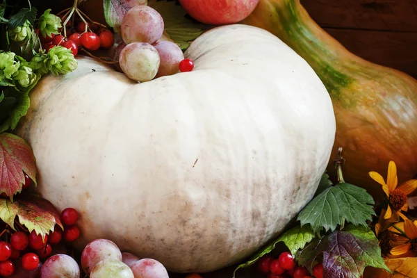 Herbstkonzept mit saisonalen Früchten und Kürbis — Stockfoto