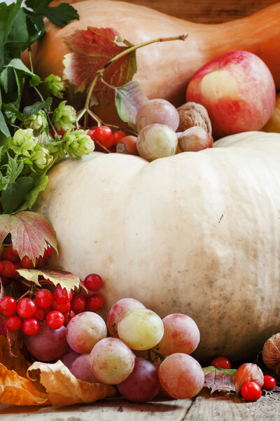 Осенняя концепция с сезонными фруктами и тыквой
