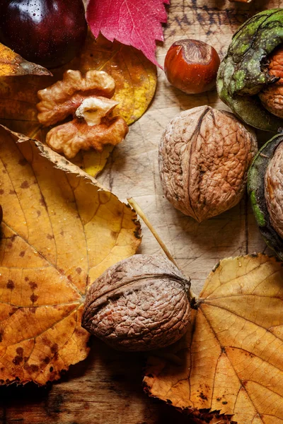 Fondo autunnale con noci e foglie rosse e gialle — Foto Stock