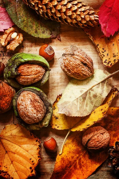 Осенний фон с орехами и красными и желтыми листьями — стоковое фото