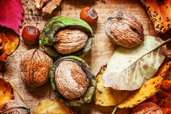 Fondo autunnale con noci e foglie rosse e gialle — Foto Stock