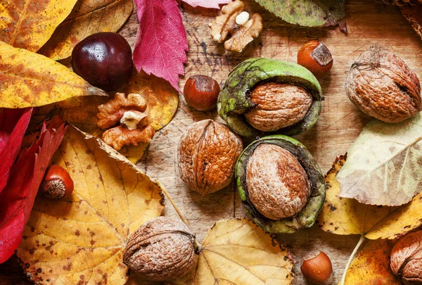 Fondo autunnale con noci e foglie rosse e gialle — Foto Stock