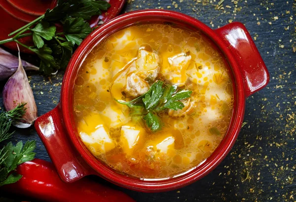 Soup with meat, potatoes and vegetables — Stock Image Soup with meat, potatoes and vegetables Stock Image