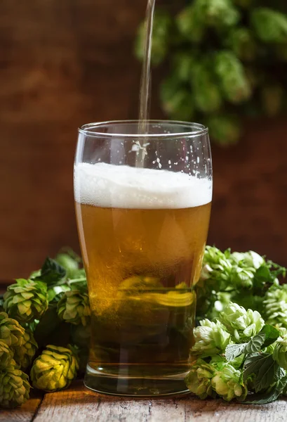 Verre de bière mousseuse et cônes de houblon — Photo