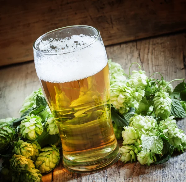 Verre de bière mousseuse et cônes de houblon — Photo