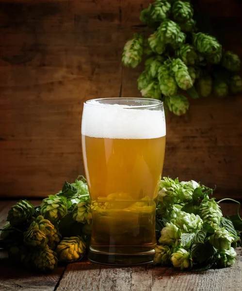 glass of foamy beer and hop cones