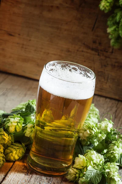Bicchiere di birra schiumosa e coni di luppolo — Foto Stock