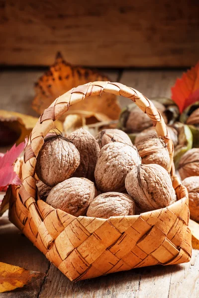 Осенний сбор грецких орехов в плетеной корзине — стоковое фото