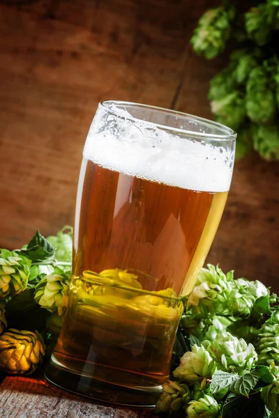Copo de cerveja espumosa e cones de lúpulo — Fotografia de Stock