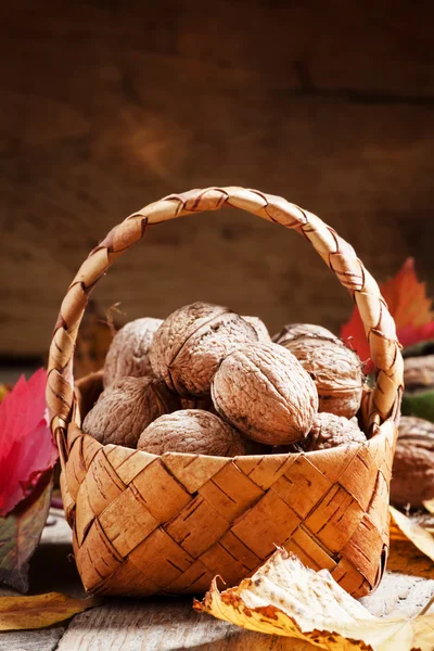 Raccolta autunnale di noci in un cesto di vimini — Foto Stock