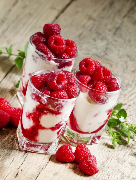 Raspberry ice cream with berries and mint — Stock Photo, Image