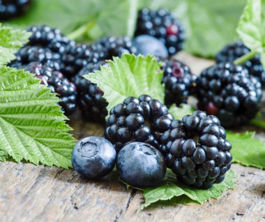 Yaprakları ile bir yaban mersini ve taze böğürtlen 