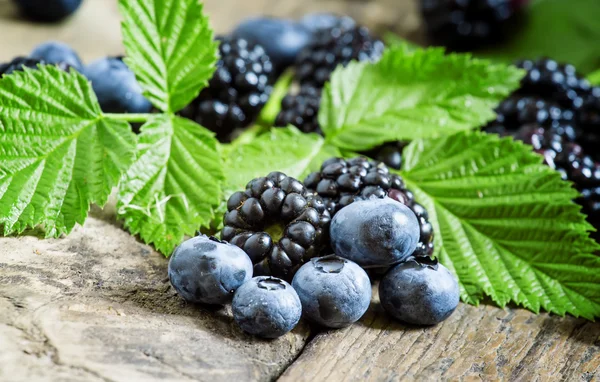 Färska björnbär och blåbär med blad — Stockfoto