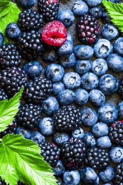 Böğürtlen, yaban mersini ve Ahududu yaprakları ile 