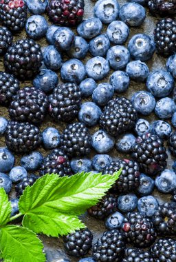Böğürtlen, yaban mersini ve Ahududu yaprakları ile 