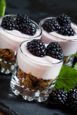 Yoğurt ve böğürtlen ile ev yapımı granola